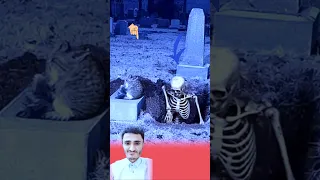 في هذه المقبرة رعب يخرج من قبره ويستمر بالخروج من جانب القط حالات واتساب عبارات 