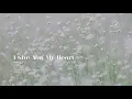 아이유 (IU) - 마음을 드려요 (I Give You My Heart) (사랑의 불시착 OST) Piano Cover 피아노 커버