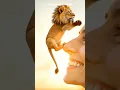 Download Lagu singa mungil#singa lucu#trending#short