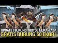 Download Lagu AKHIRNYA ! KETEMU JUGA GRATISAN BURUNG SAMPAI 50 EKOR SIAP-SIAP YA SESUAI TANGGAL INFORMASI 
