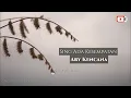 Download Lagu Ary kencana - Sing Ade Kesempatan (cover lirik)