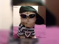 give it to me (sped up)