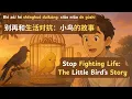 Stop Fighting Life | 别再和生活对抗 - Bié zài hé shēnghuó duìkàng | Chinese Podcast | HSK 2-3