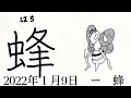 Download Lagu 蜂(はち) hachi bee