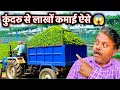 Download Lagu 🌱 2 Years तक Non-Stop फसल! 😲 | कुंदरू Farming का पूरा सच 🌿||Telangana Agriculture Live Tour