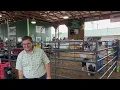 2023 Meigs County Fair Livestock Sale pt5
