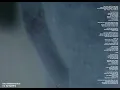 THE OKLAHOMA KID - No Sympathy (OFFICIAL VISUALIZER)