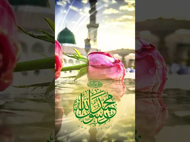⁣نبارك لكم مولد الرسول الاكرم (صلى الله عليه و آله)  #المولود_النبوي_الشريف