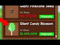 Download Lagu NEW CANDY BLOSSOM Version has been LEAKED... (Roblox Grow a Garden)