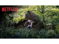 Video di Okja | Trailer principale | Netflix Italia