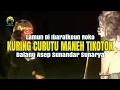 Download Lagu Si Cepot Adu Ibarat | Bodoran