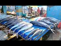 Download Lagu Tangan terampil pemotong ikan tuna di pasar ikan tradisional Jembatan Puri sedang beraksi