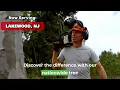 Tree Service Expert Lakewood NJ