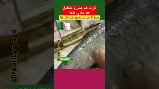 أكبر سردينة دخلت للجزائر  المغرب  الجزائر  السعودية  مصر  فرنسا  الإمارات  تونس دندنها