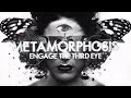 Download Lagu InsideInfo - Metamorphosis (feat. Miss Trouble) (Lyric Video)
