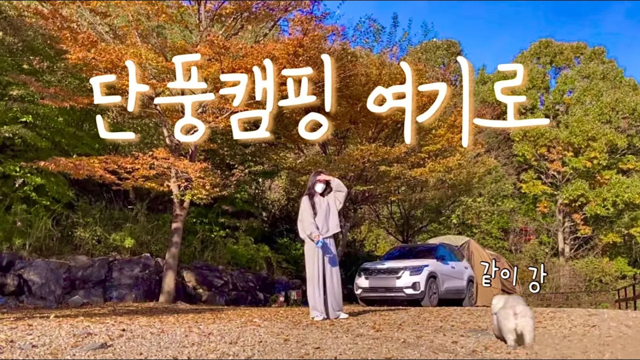[솔로캠핑] 🍁단풍캠핑은 여기로~ | 애견동반캠핑 | 셀토스차박 | 경남 산청 별천지캠핑장 サムネイル