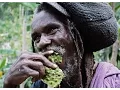 Download Lagu Rastafarian encounter in the Canaan Mountains, Jamaica