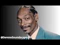 🎶 Snoop Dogg - Drop It Like It's Hot [1960's BEST Version AI Cover] by ‪@SereneSoundscapesMS