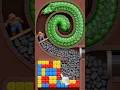 Will The Bear Survive