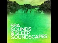 Springtime Bird Song - The Sounds of Earth Group