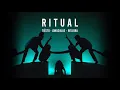 Download Lagu Tiësto, Jonas Blue \u0026 Rita Ora - Ritual ( 30minute Loop )