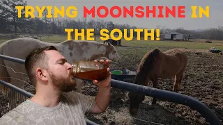 the truth about moonshine in the south