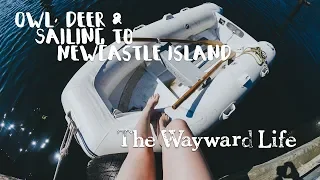 Exploring Newcastle Island (Saysutshun) | Chapter 2 Episode 8| The Wayward Life