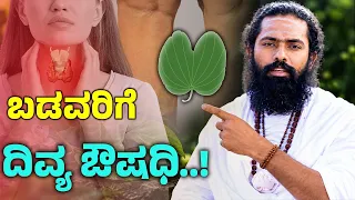 ಬಸವನ ಪಾದದ ಗಿಡದಲ್ಲಿದೆ ಎಷ್ಟೆಲ್ಲಾ ರೋಗಗಳಿಗೆ ಮದ್ದು! Basavana Padada Gida | Kanchanara Plant In Kannada