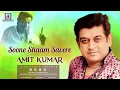Lagu Soone Shaam Savere | Khel | Anil Kapoor, Madhuri Dixit, Sonu Walia | 90's Song | Amit Kumar Live
