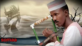 بابكر البرصة يا باكي من نار الغرام 