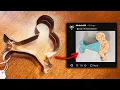 reddit incorrectly guessing cookie cutters