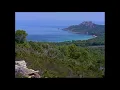 Isaac Delusion - Couleur menthe à l'eau