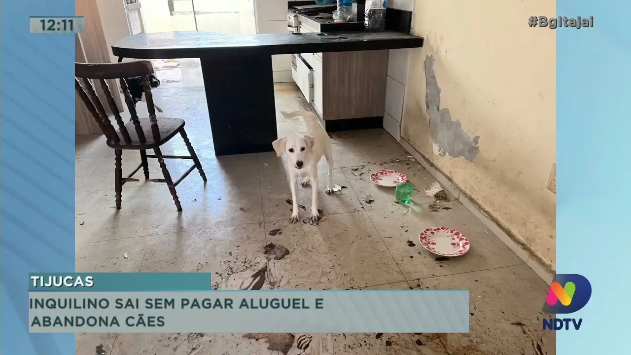 Confira o giro de ocorrências de Itajaí e região