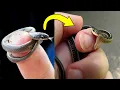 10 Smallest Snakes You Can Own As Pet
