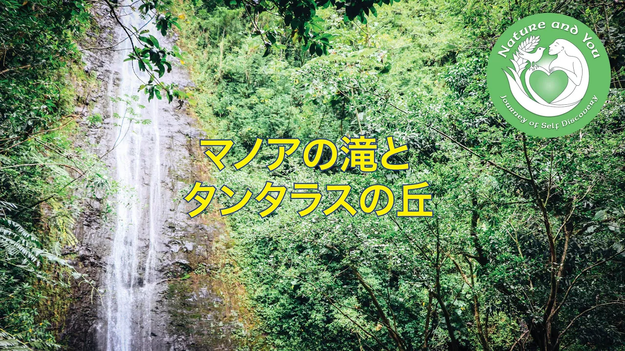 ★キャンペーン★ハワイ「マノアの滝」ハイキングツアー＆タンタラスの丘＜日本語ガイド／選べるランチ付き／往復送迎／午前半日ツアー＞ネイチャー＆ユー