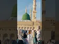 Download Lagu Chor fikar dunia ki chal madina chalta ha