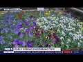 Tips for gardening during early spring FOX 5 DC