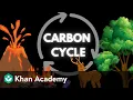 The carbon cycle Middle school Earth and space science Khan Academy