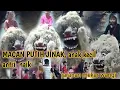 Download Lagu MACAN PUTIH JINAK,ANAK2 ANTRI UNTUK MENAIKI,JARANAN MEKAR WANGI