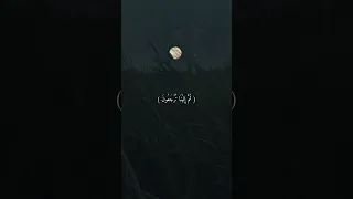 كل نفس ذائقة الموت تلاوه خاشعه حالات واتساب ستوريات انستا 