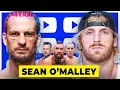 Sean O Malley FURIOUS After Conor McGregor s Loss Paddy Pimblett Vs Logan Paul Petr Yan Rematch