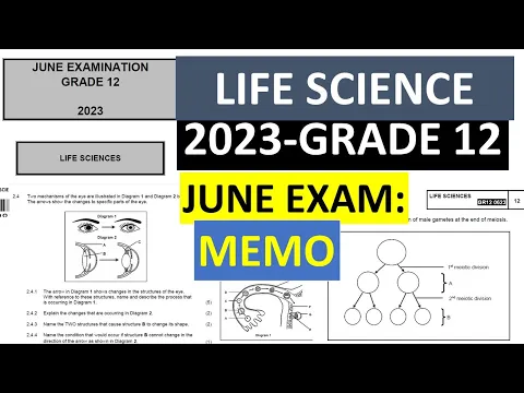 Download MP3 GRADE 12: 2023 JUNE EXAMS:MEMO: LIFE SCIENCES GRADE 12   [THUNDEREDUC]  BY: B.SAIDI