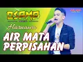 Lagu AIR MATA PERPISAHAN - HARNAWA - OSAMA MUSIK In Brambang Krajan Lor - ANIJAYA AUDIO LIVE