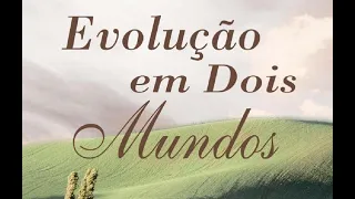 13    Evolução em dois mundos - Alma e fluído   AUDIOLIVRO