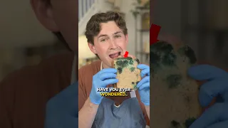 I Tried Fake Hollywood Movie Food