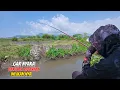 Download Lagu Mancing di perbatasan sungai dengan laut