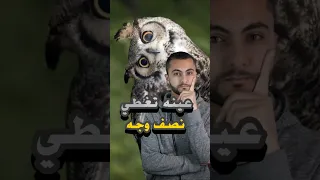 كائن بعيون تغطي نصف وجهه 