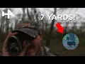 Download Lagu Wild Hog Kill Shot: Ultra-Slow Motion in 4K