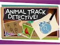 Animal Track Detective Science for Kids