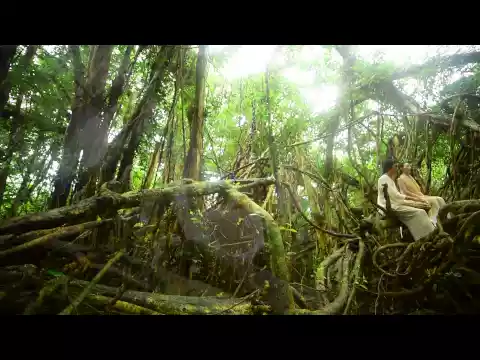 フレンドリーなプロフェッショナルカメラマンが一眼レフで2台でARTに撮影します◎